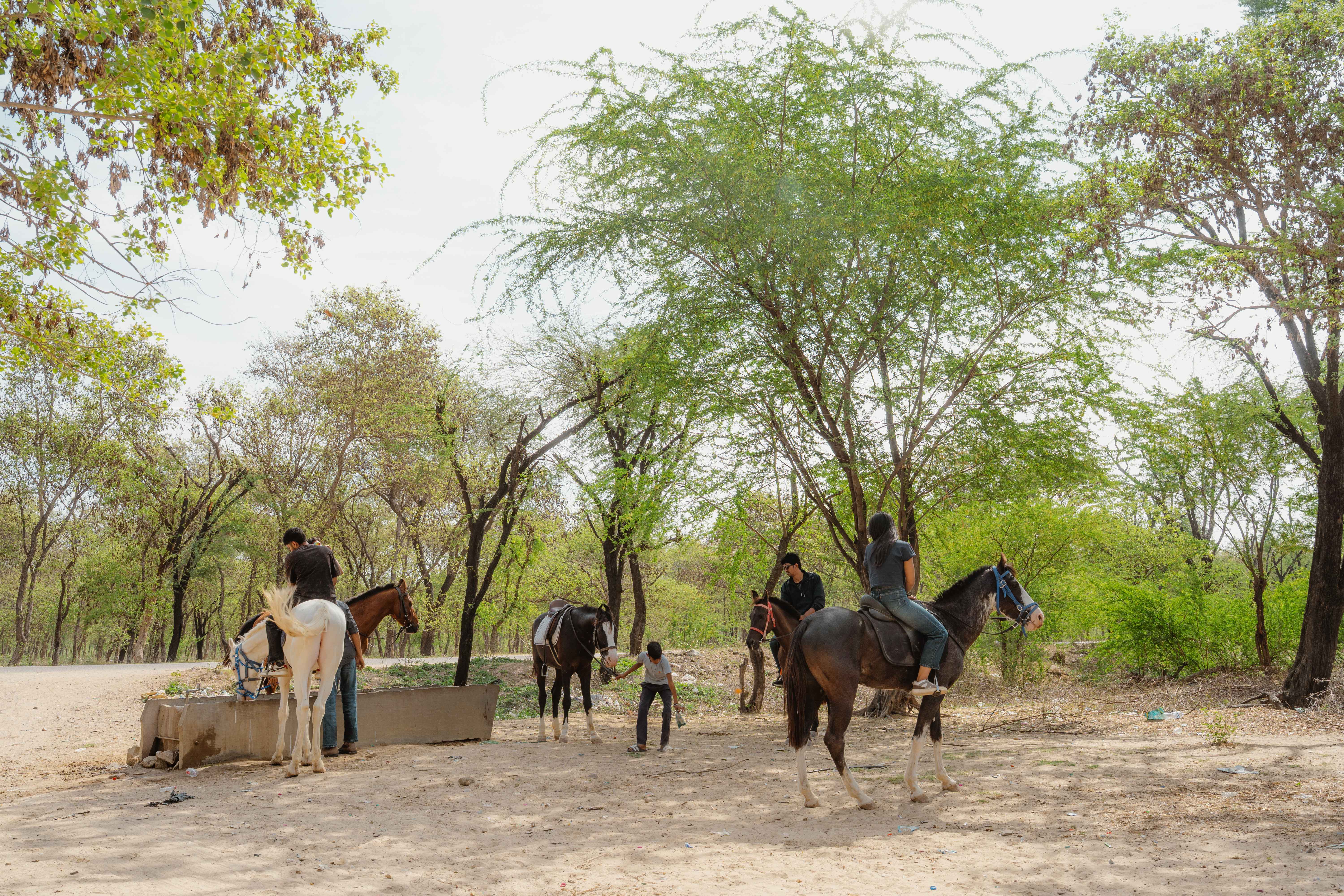 Two Riders on Horseback